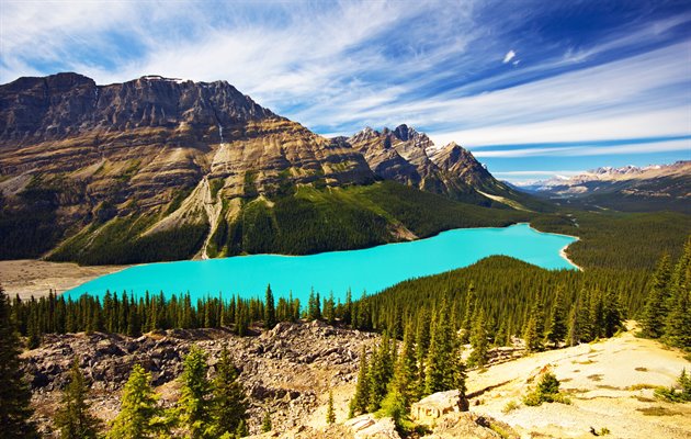 Udsigten over Lake Peyto i Banff National Park