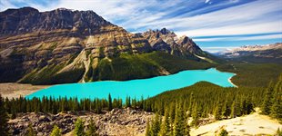 Udsigten over Lake Peyto i Banff National Park