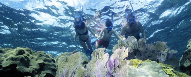 Snorkling med børn