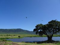 Ngorongoro, Tanzania, Rebecca