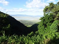 Ngorongoro, Tanzania, Rebecca