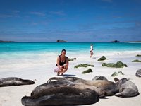 Oplev det unikke dyreliv på Galapagos-øerne