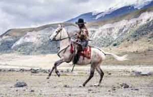 På din lodge i Cotopaxi bor du med udsigt til vulkaner og vilde heste. Her er rig mulighed for at vandre, ride, cykle, tage på det lokale markede eller nyde en god bog ved pejsen