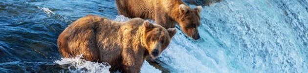 Bjrøne, Alaska Bjrøne, Alaska