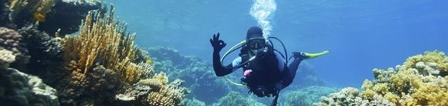 Open Water dykkerkurset er for alle i almindelig god form, som er fortrolige med vand Open Water dykkerkurset er for alle i almindelig god form, som er fortrolige med vand