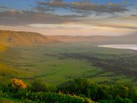 Safari i Ngorongoro krateret