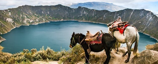 Tag med Jysk Rejsebureau på eventyr i Ecuador og på Galapagos
