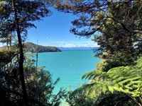 Abel Tasman