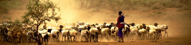 Kenyas lokalbefolkning Kenyas lokalbefolkning