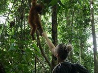 Louise Hesselbjerg Andersen på rejse i Indonesien