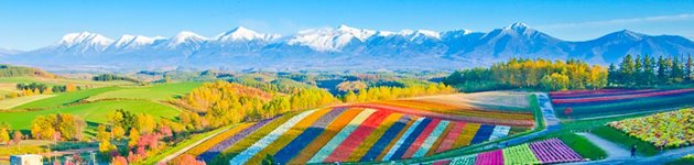 Tag med Jysk Rejsebureau på eventyr på Hokkaido og Okinawa i Japan Tag med Jysk Rejsebureau på eventyr på Hokkaido og Okinawa i Japan