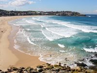 Den verdensberømte Bondi Beach i Sydney