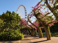 Pariserhjul ved Southbank Parklands i Brisbane