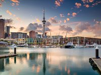 Aucklands hyggelige marina med Sky Tower i baggrunden