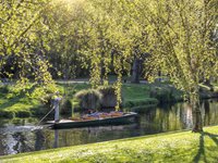 Gondol på Avon River i Christchurch