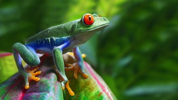 Costa Rica