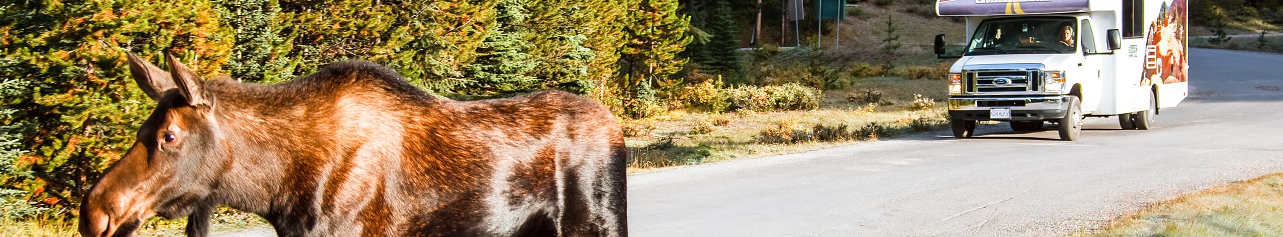 Det vestlige Canada i autocamper