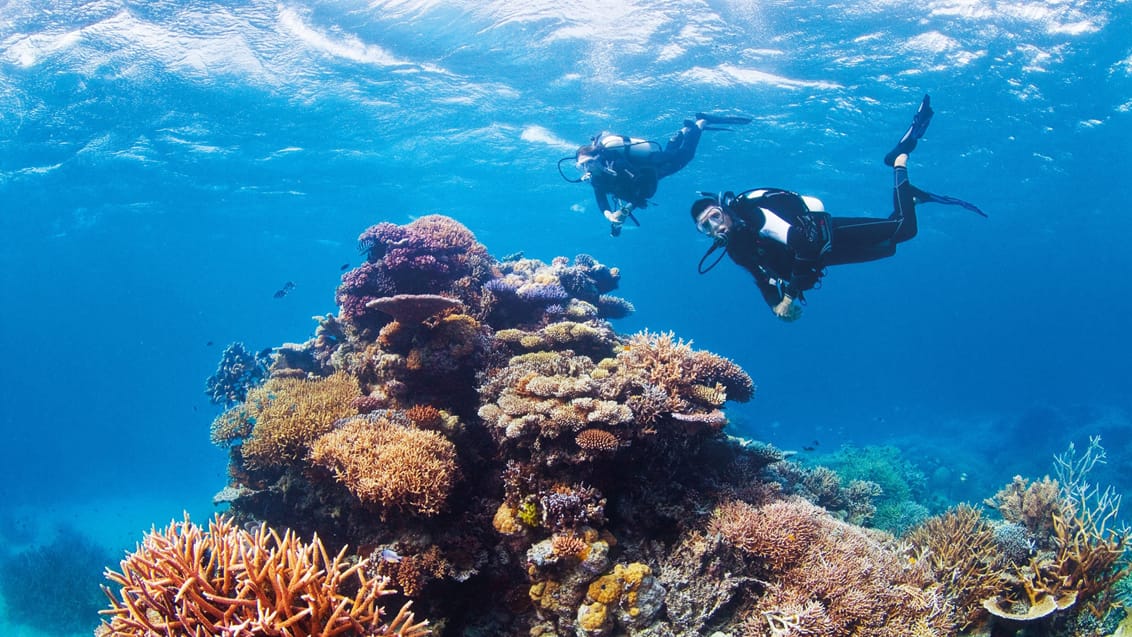 Dykning ved Great Barrier Reef