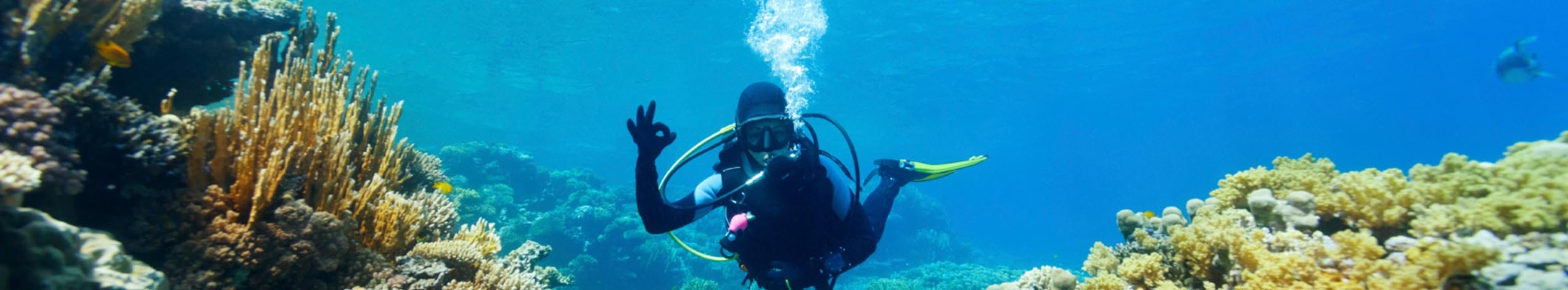 Dykning og snorkling