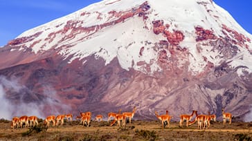 Tag med Jysk Rejsebureau på eventyr i Ecuador