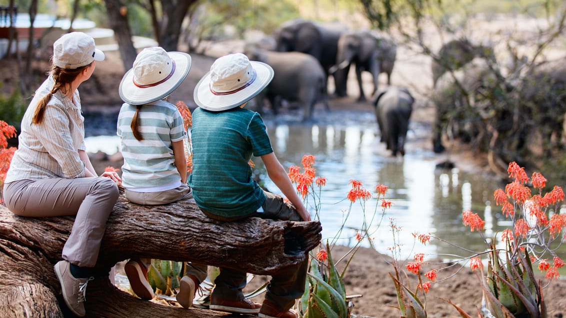 Familie-safari i Østafrika