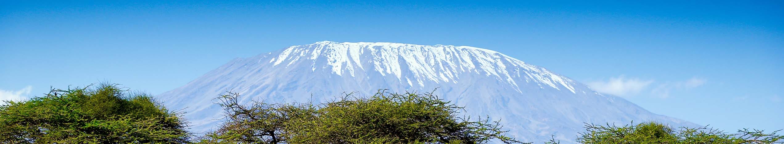 Mt. Kilimanjaro