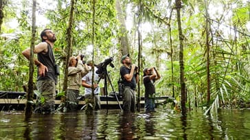 Nedre Amazonas - Jamu Lodge