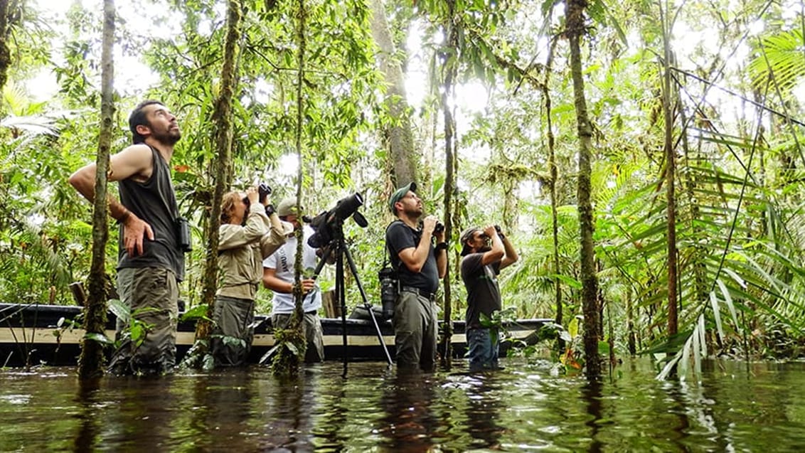 Nedre Amazonas - Jamu Lodge