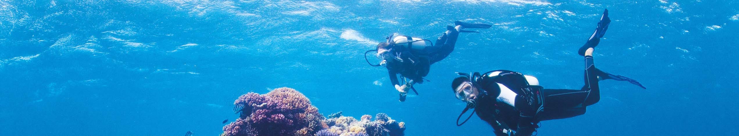 PADI dykkerkursus i Cairns