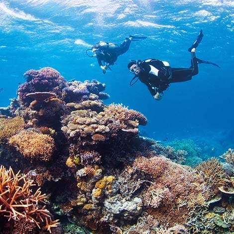 PADI dykkerkursus - & Barrier Reef | Jysk