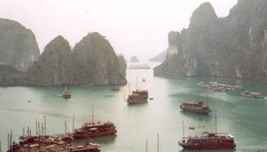 Vietnams natur, Asien