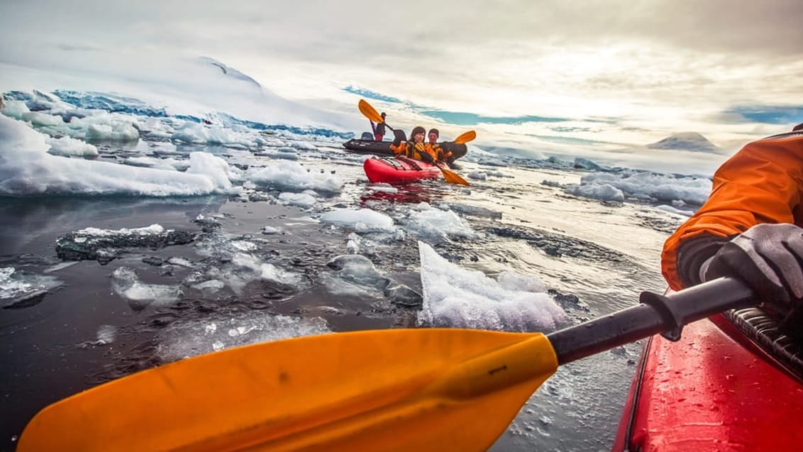 Tag med Jysk Rejsebureau på adventurerejse til Antarktis