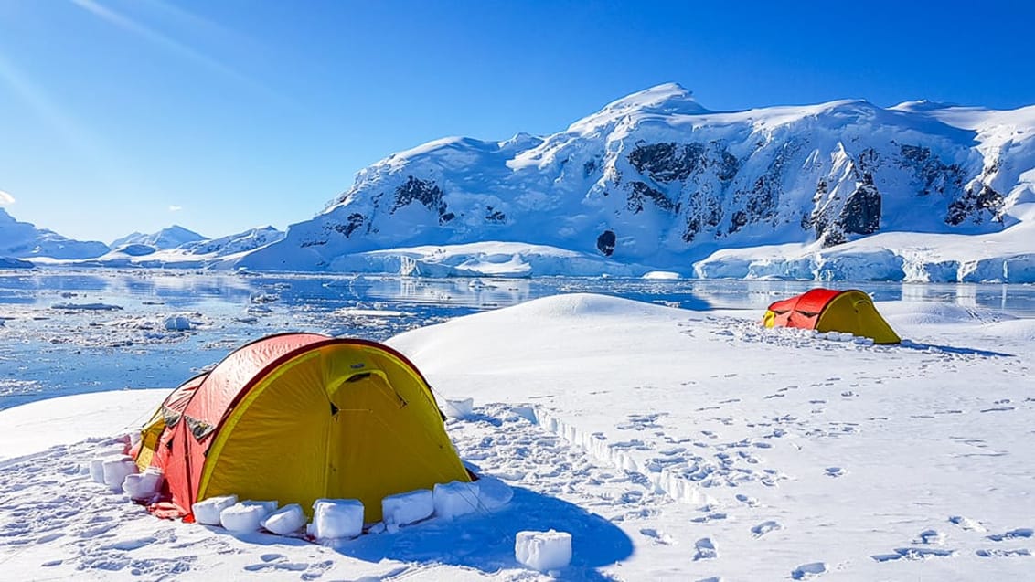 Tag med Jysk Rejsebureau på adventurerejse til Antarktis