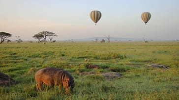 Ballonsafari over Serengetisletten