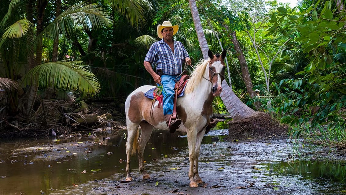Cowboy i Costa Rica