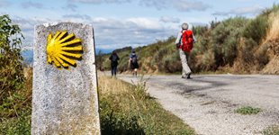 Den gule muslingskal som viser vej på Caminoen. Caminoen, Spanien