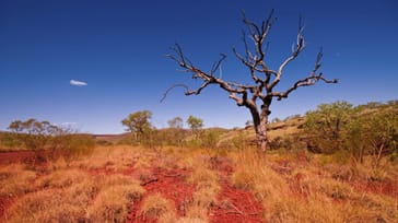 Rejseforedrag om Australien og New Zealand
