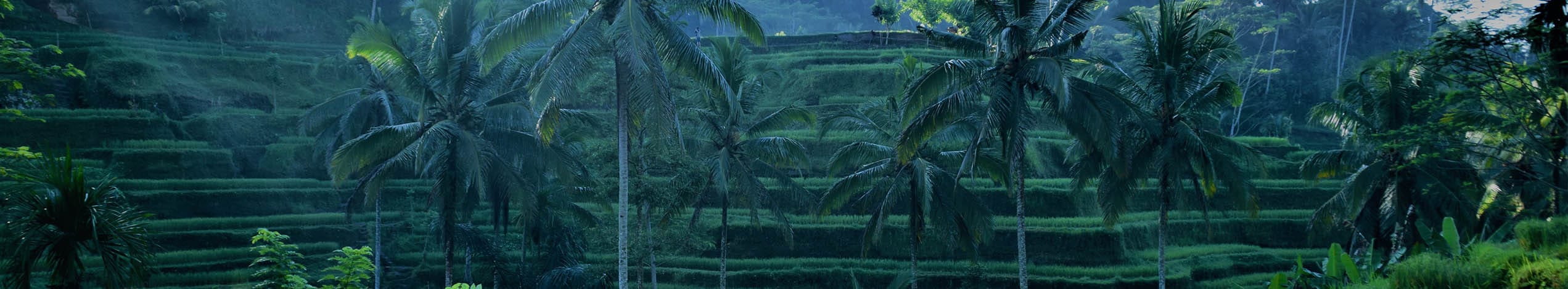 Rejseforedrag om Indonesien og Bali