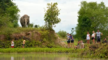 Frivilligt arbejde og Muay Thai, Thailand