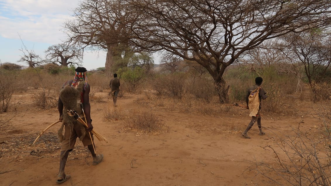 Hadzabe-stammen i Tanzania