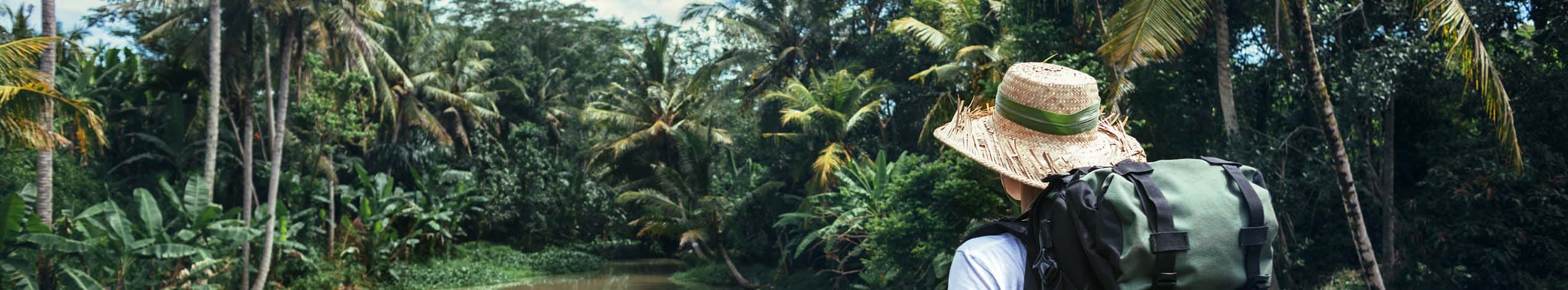Junglen i Sarawak