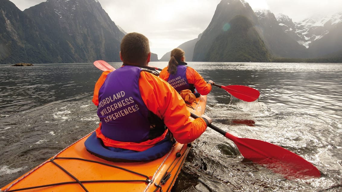 Tag på kajaktur på Doubtful Sound