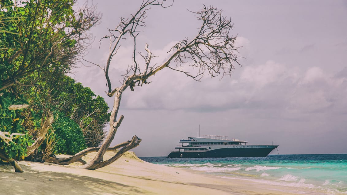 Luksus liveaboard og spa på Maldivernev