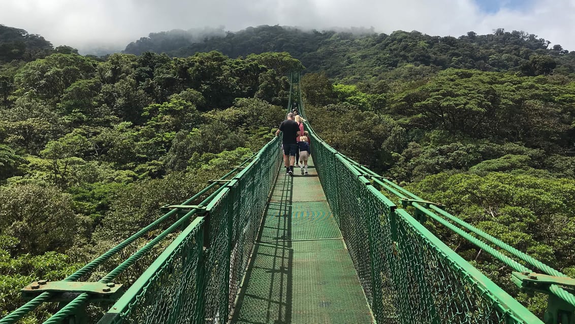 Oplev hængebroerne i Monteverde´s Tågeregnskov