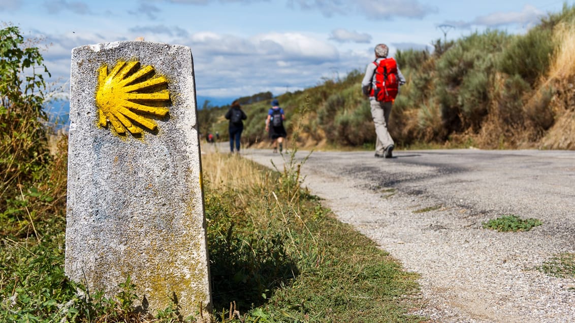 Pilgrimsvandring på Caminoen med dansk rejseleder