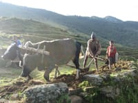 Bhairav kunda trek