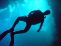 Dykning i Cenote grotterne