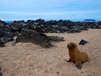 Ecuadors unikke natur