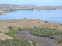 Høje bølger og Komodo-varaner