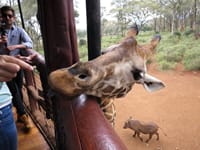 Kenya & Tanzania – Del 1 Kenya & Tanzania – Del 1